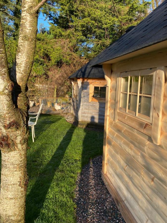 Pandy B&B Dorstone Extérieur photo