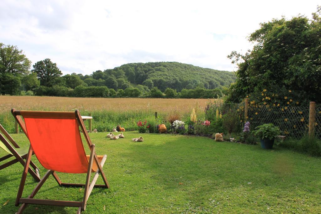 Pandy B&B Dorstone Extérieur photo